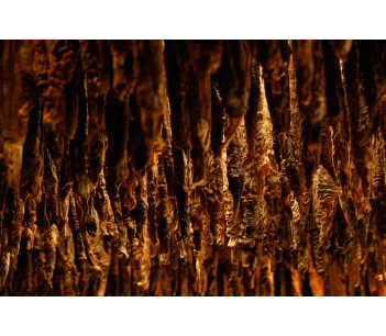 Andouille de Guémené "La très sèche"